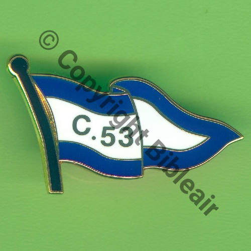 053  2020 A1249 2eDRILLE SPA.Bi 53 ED.2.33 COGNAC 30x20mm  DUSEAUX Griffes et butees Dos scintillant Src.Y.GENTY 23Eur(x11) 